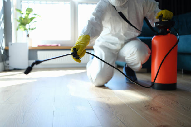 Reliable Odor Removal contractor in Breckenridge, MN by Trauma Clean Pros